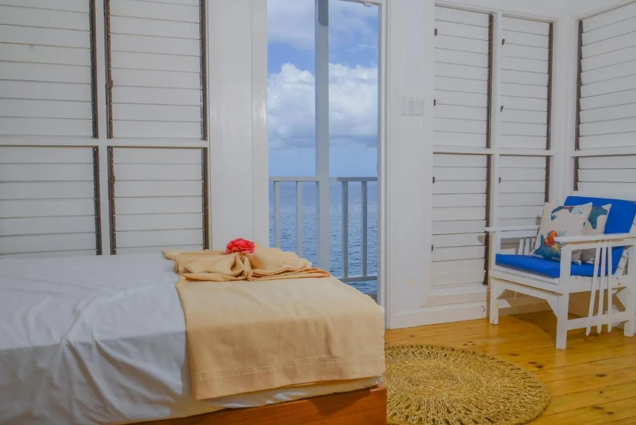 Begona Cliff Hotel Negril